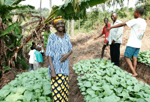 community development